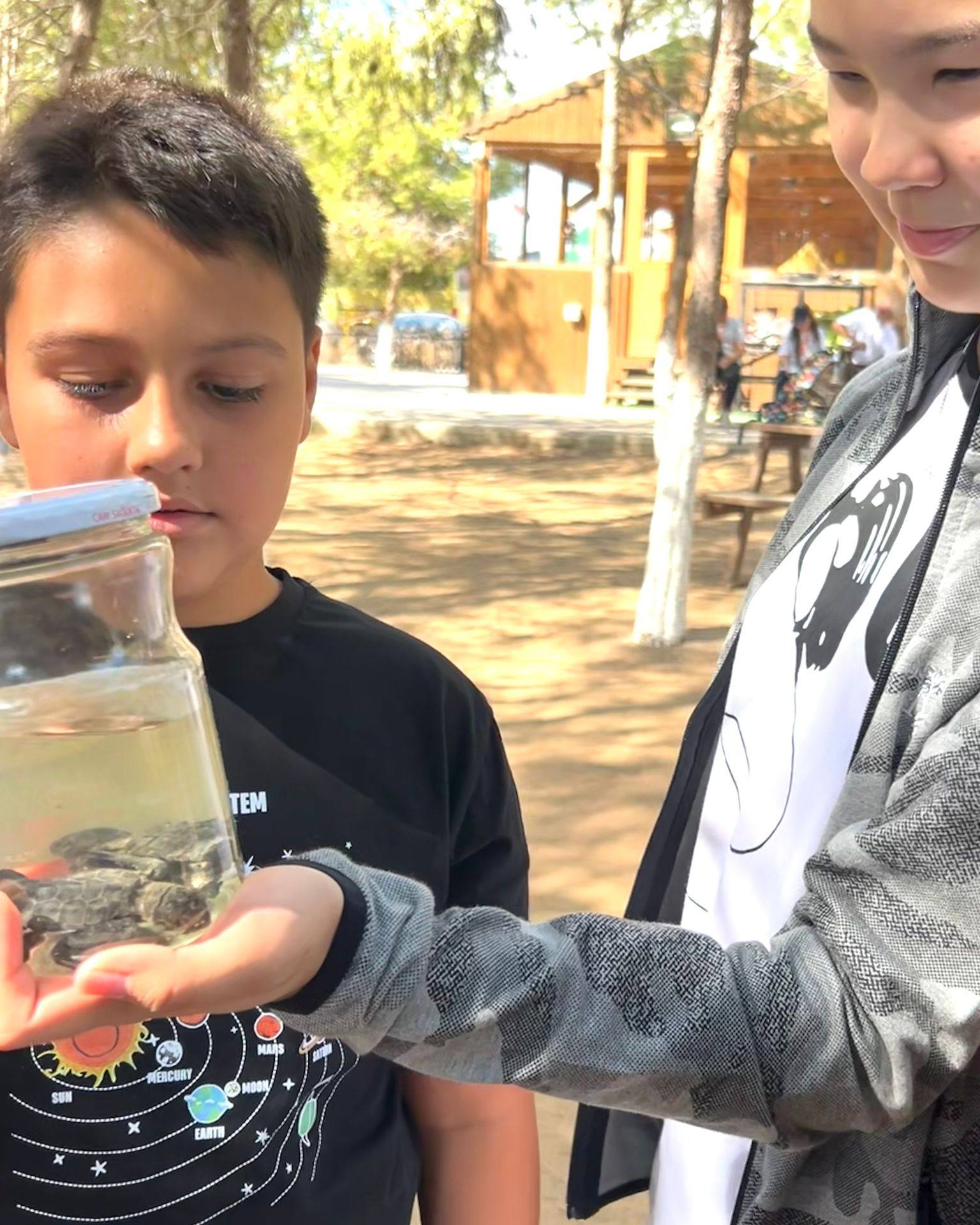 October 4 World Animal Protection Day