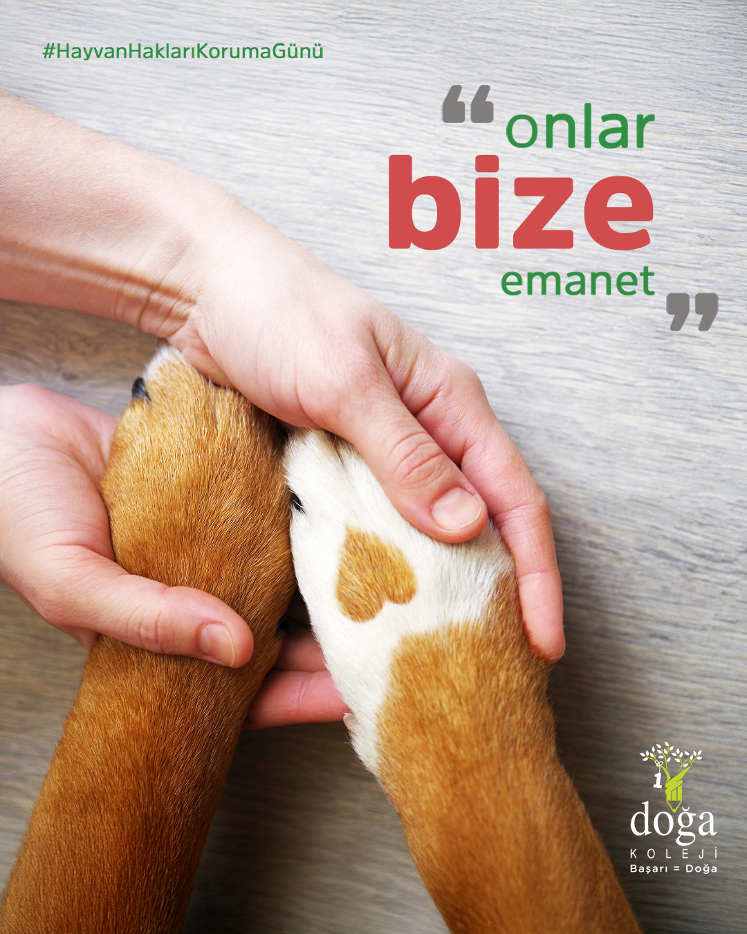 🐾 They are entrusted to us…